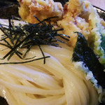 三ツ島 真打 - 鶏天ざるうどんのアップ