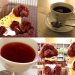 Inu Kafe Kokomo - 紅茶です。えっ？犬は料理ぢゃない？トイプードルの笑顔はこちらのお店のお茶菓子ということで…。アラレとセンベイなだけに…。(笑)