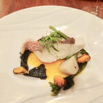 クッチーナ ベジターレ クォーレリッコ - 鯛と野菜