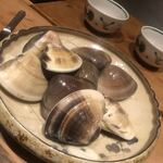 温石 - 蛤さん、登場