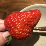 温石 - デカイ。Fカップと呼ぶのだそうです