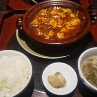 雪梅花 菜根譚 - 