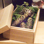 SUGALABO - わさび