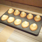 SUGALABO - マドレーヌ