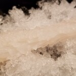 緒方 - ⑤間人蟹の脚(下から2番目)のお造り、生姜入り酢醤油
      お造りは冷水で〆て華を咲かせるので水っぽくなりがちですが、それは感じません。
      見た目同様にクリアな味わいで爽やかな旨みが楽しめました。