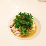 カンテサンス - 