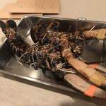 restaurant Noël - 食材見せ。オマールブルー。