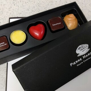 ピエール マルコリーニ_1