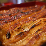 うなぎ 魚政 - 脂の乗りもしっかりしつつも適度で甘い 　タレの程のよさ、焼きの芳ばしさも旨い！ 　皮目のプルプルこらーげん感も 　文句の付け所がﾆｬいねぇ〜