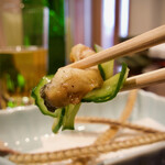 うなぎ 魚政 - しら焼うざく 　生姜とカッパでさっぱり♪ 　脂の乗った白焼きとベストマッチ♥