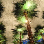 カフェトスカ - 