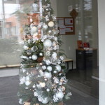 鎌倉紅谷 - 外から