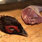 ろっかん - 山鳥