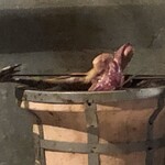 ろっかん - 山鳥