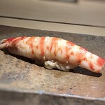 菊鮨 - 車海老・・甘い。