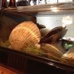 旬楽　飃 - 生きてます！動いています！昔はこれが当たり前だったよなぁ。