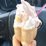 ガガフレッシュジェラート - 