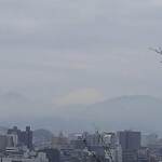 大江戸 - 曇天ながら八王子の高台から富士山が見通せる。