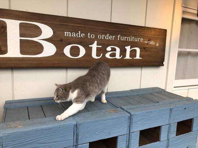 おかし工房botan ボタン 観音寺市その他 カフェ 食べログ