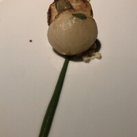 レフェルヴェソンス - 