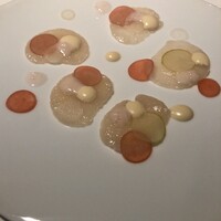 レフェルヴェソンス - 