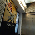 Figaro - 