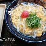 Hanamaru Udon - 