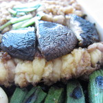 鳥しき - 鳥しきのおみや4