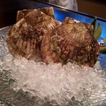 あざみ野うかい亭 - 