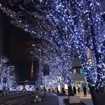 御料理 無窮 - その日のイルミネーション