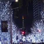 御料理 無窮 - その日のイルミネーション