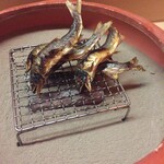 松川 - 鮎 (美山川産)