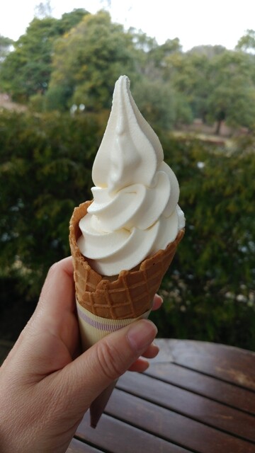 アイス セブンティーンアイス | 【公式】江崎グリコ(Glico)