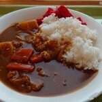 ダイニング九段 - カレーライス400円！（普通盛り。大盛りは+50円）