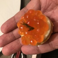 銀座 大石 - 