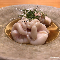 丸新 - くもこ煮付