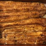 鰻はし本 - 和田さんの新仔鰻の鰻重