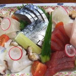 一休 - 刺身の盛り合わせ