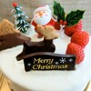 パティスリー ザキ - 料理写真:クリスマスケーキ生クリーム５号
