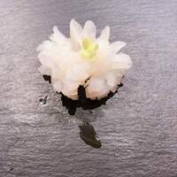 SUSHI TOKYO TEN、 新宿店 - 