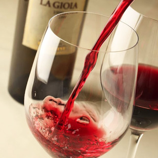 マジックレストラン・バー GIOIA_1