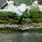 フランス菓子 アン・ファミーユ - 