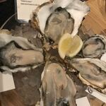 パッチョ オイスターバー - 