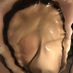 パッチョ オイスターバー - トイレの天井に巨大な牡蠣^o^