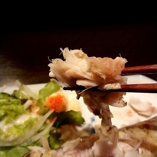 居酒屋まつ野 - 旭川（居酒屋）の写真