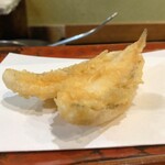 江戸前晋作 - 鱚