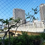 Quartier Latin - 窓の外には青い空と川沿いの緑、橋や近くの高層マンションが見え心地よい開放感