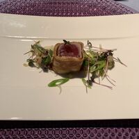 International cuisine subzero - 