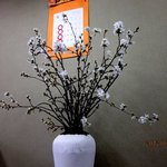 Chibaya - 店内に花を飾る家系なんて…！(2012,03/24)