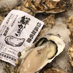 Raw Oyster from Senpoji, Hokkaido